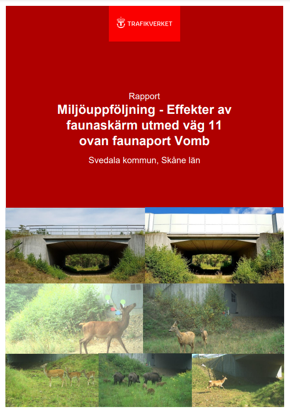 Omslag till rapporten Miljöuppföljning – Effekter av faunaskärm utmed väg 11 ovan faunaport Vomb