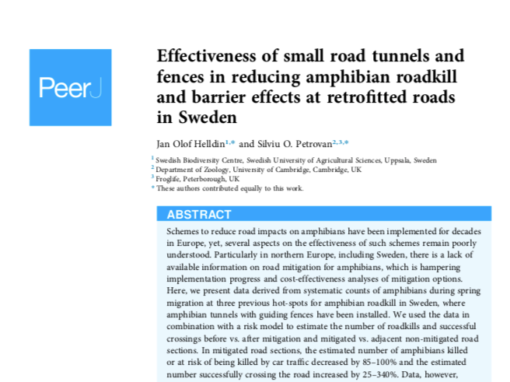 Small road tunnels and fences – effectiveness in reducing amphibian roadkill and barrier effects
