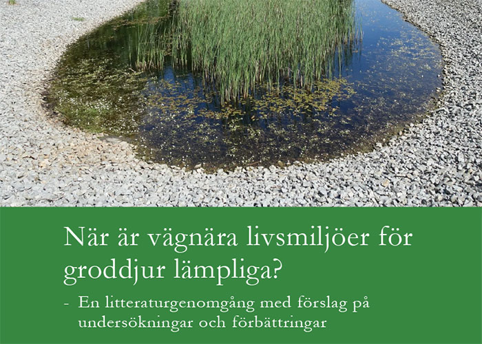 När är vägnära livsmiljöer för groddjur lämpliga?