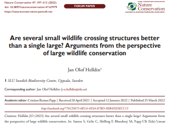 Are several small wildlife crossing structures better than a single large?