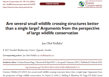 Several small wildlife crossing structures or single large?