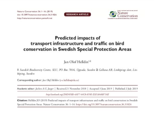 Infrastructure and traffic impacts on bird conservation in SPA