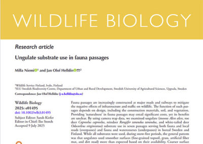 Ungulate substrate use in fauna passages