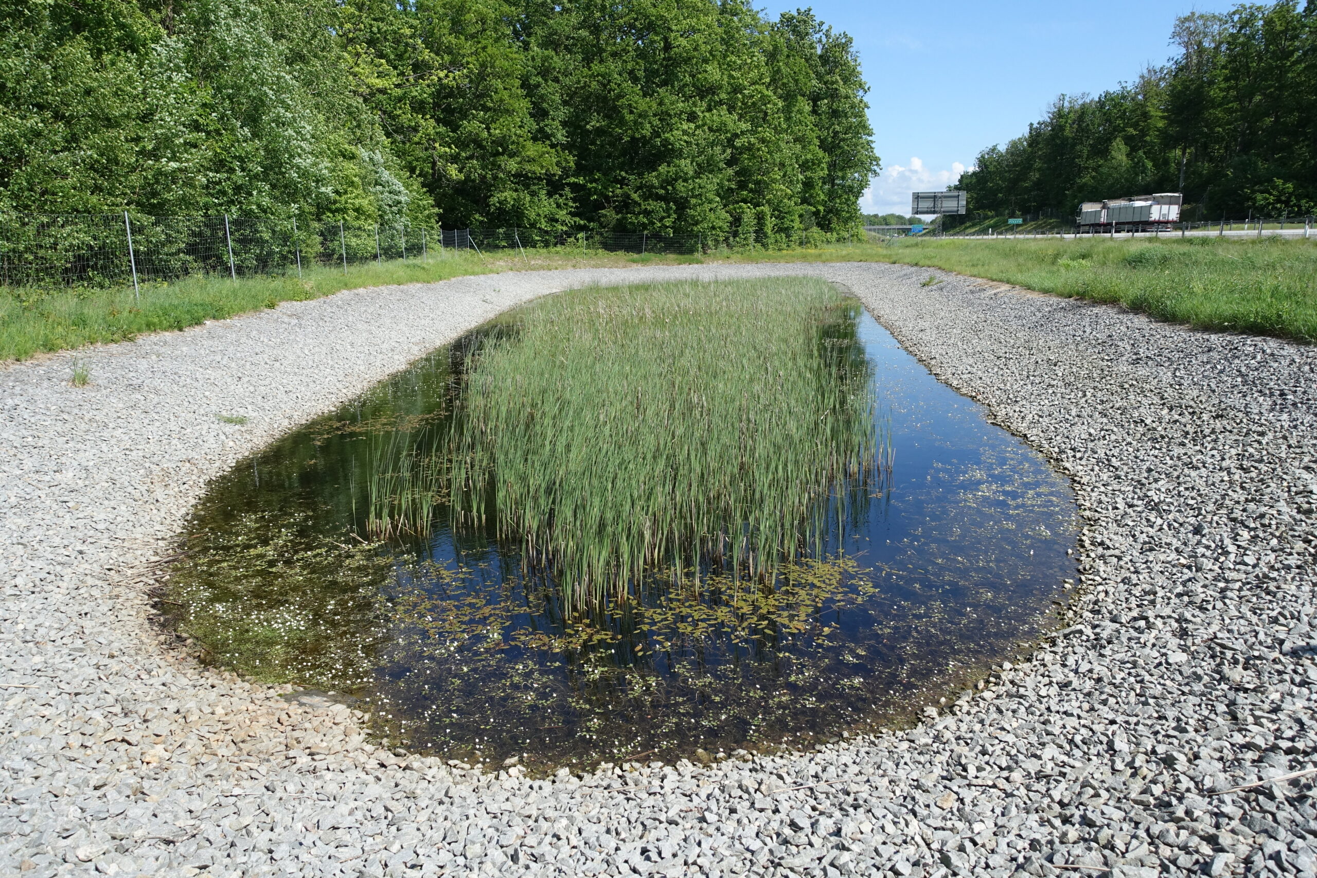 Vägdamm intill en motorväg