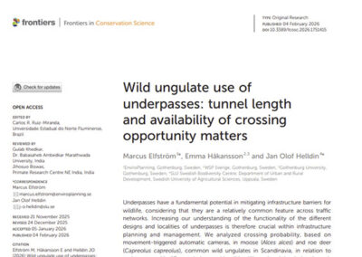 Wild ungulate use of underpasses
