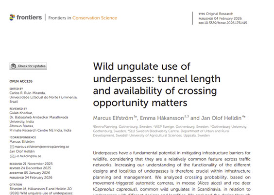 Wild ungulate use of underpasses